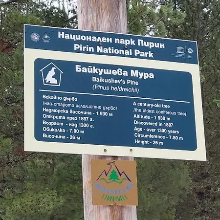 сладко студио в пирин с голф и комплекс Διαμέρισμα Ράζλογκ