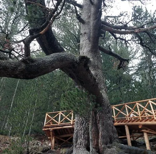 Lejlighed сладко студио в пирин с голф и комплекс